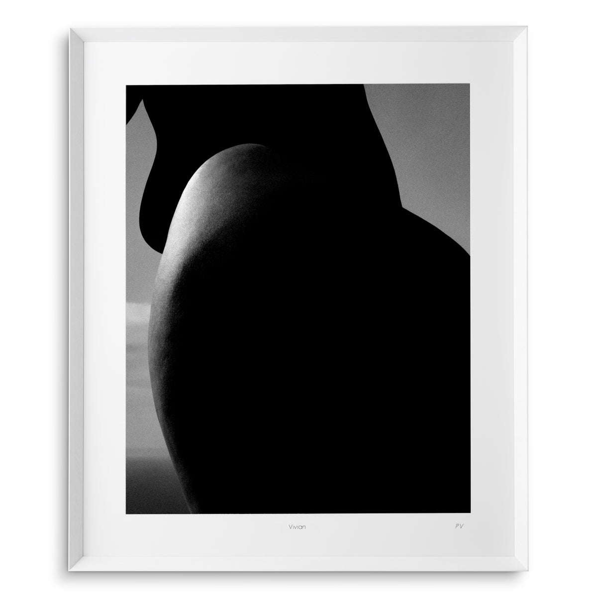 Monochrome Photographic Artwork Vivian | Eichholtzmh.com