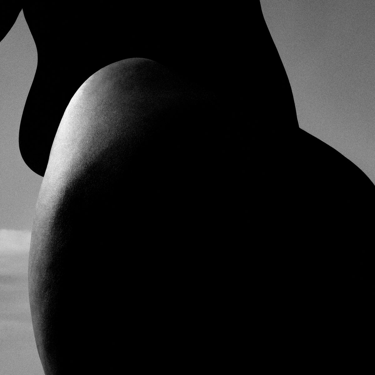 Monochrome Photographic Artwork Vivian | Eichholtzmh.com