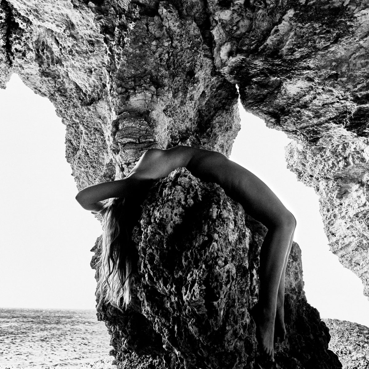Gray Somersault Art Print  Surrender | Eichholtzmh.com