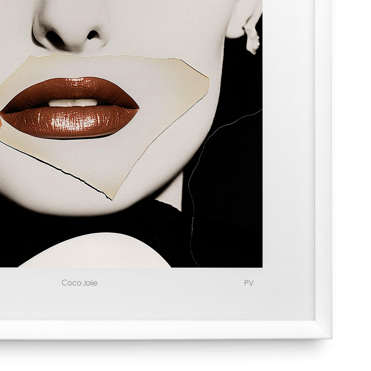Print Philippe Vogelenzang Coco Jolie | Eichholtzmh.com
