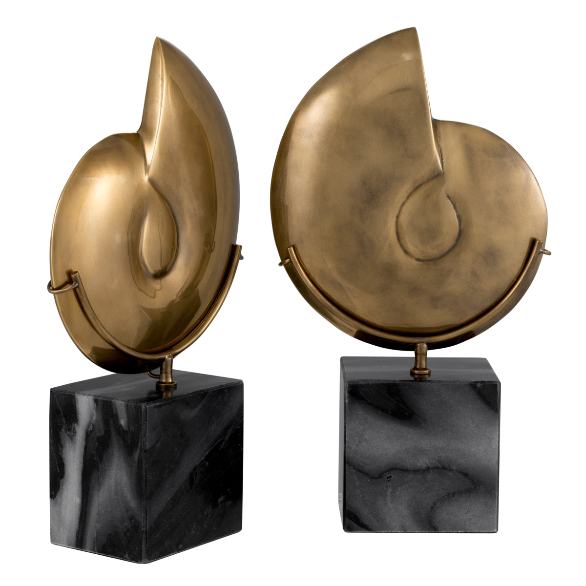 Vintage Object Set (2) Ammonite | Eichholtzmh.com