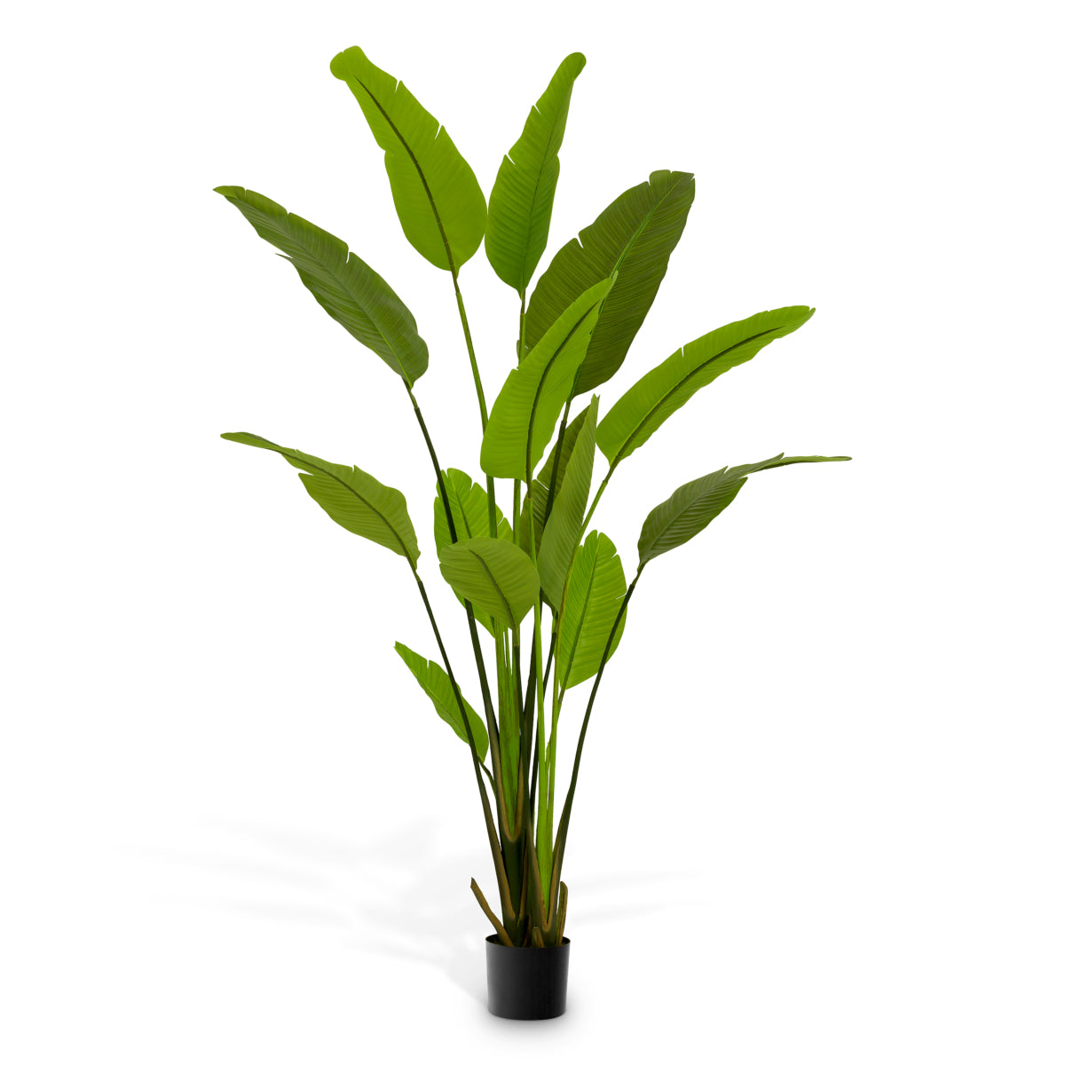 Green Artificial Plant M Strelitzia