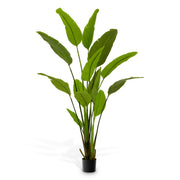 Green Artificial Plant Strelitzia | Eichholtzmh.com