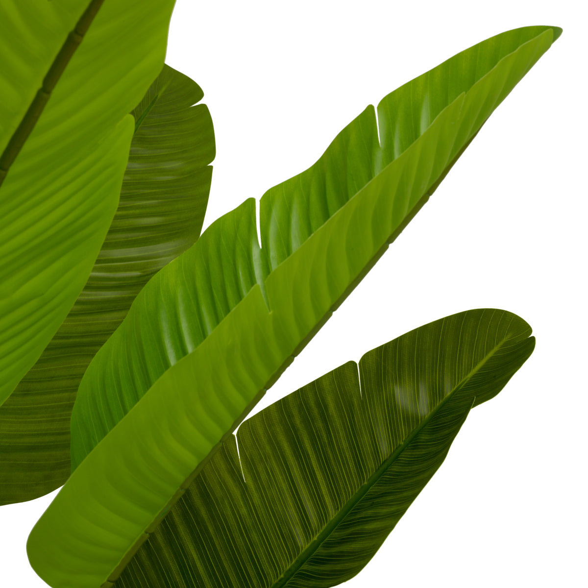 Green Artificial Plant M Strelitzia