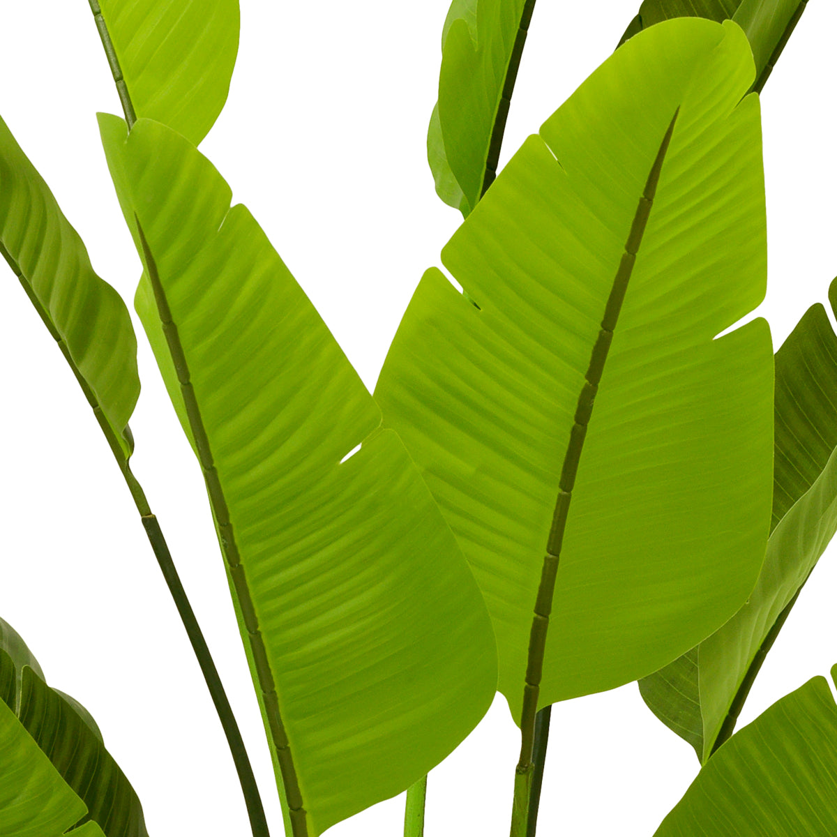 Green Artificial Plant Strelitzia | Eichholtzmh.com