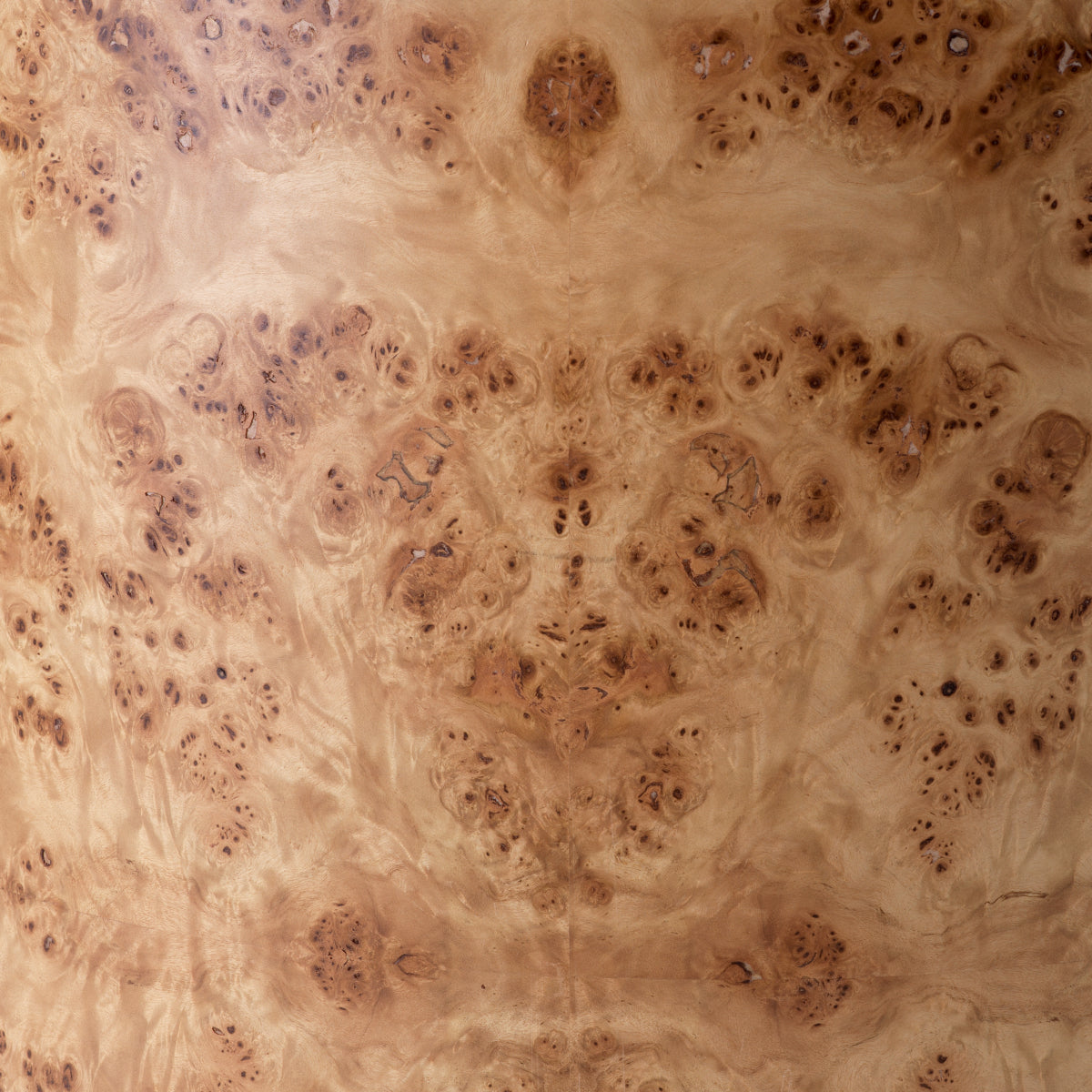 Light Brown Burl Dining Chair Percy | Eichholtzmh.com