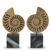 Vintage Object Set (2) Ammonite | Eichholtzmh.com