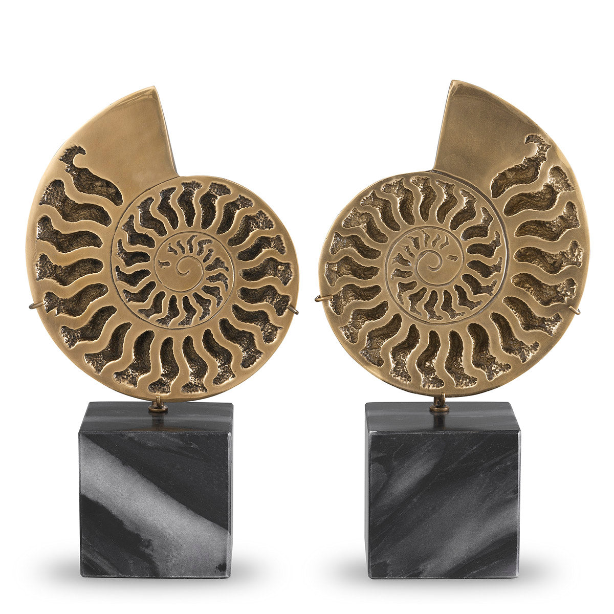 Vintage Object Set (2) Ammonite | Eichholtzmh.com