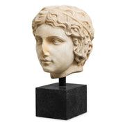 Roman Head Sculpture Bust of a Youth | Eichholtzmh.com