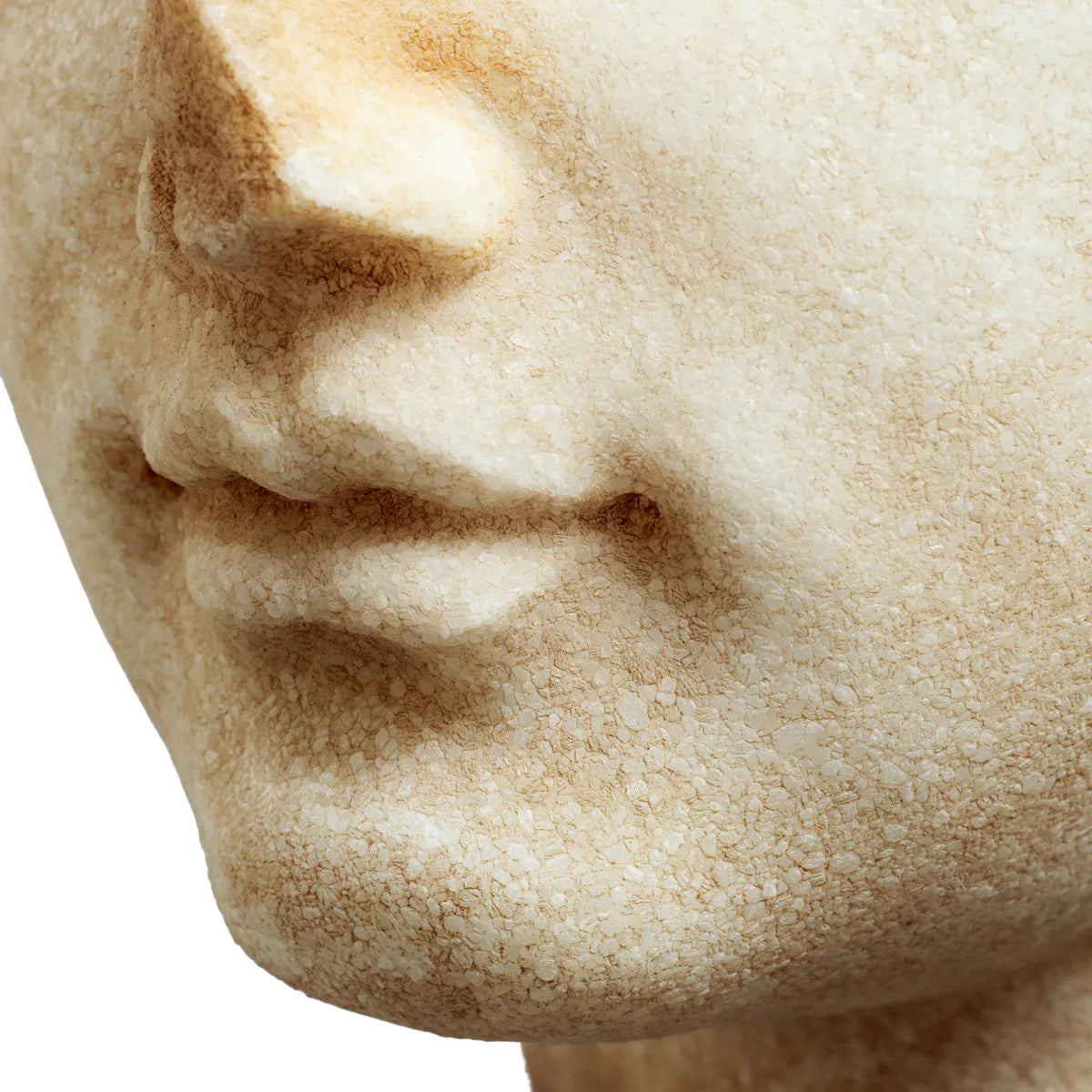 Roman Head Sculpture Bust of a Youth | Eichholtzmh.com