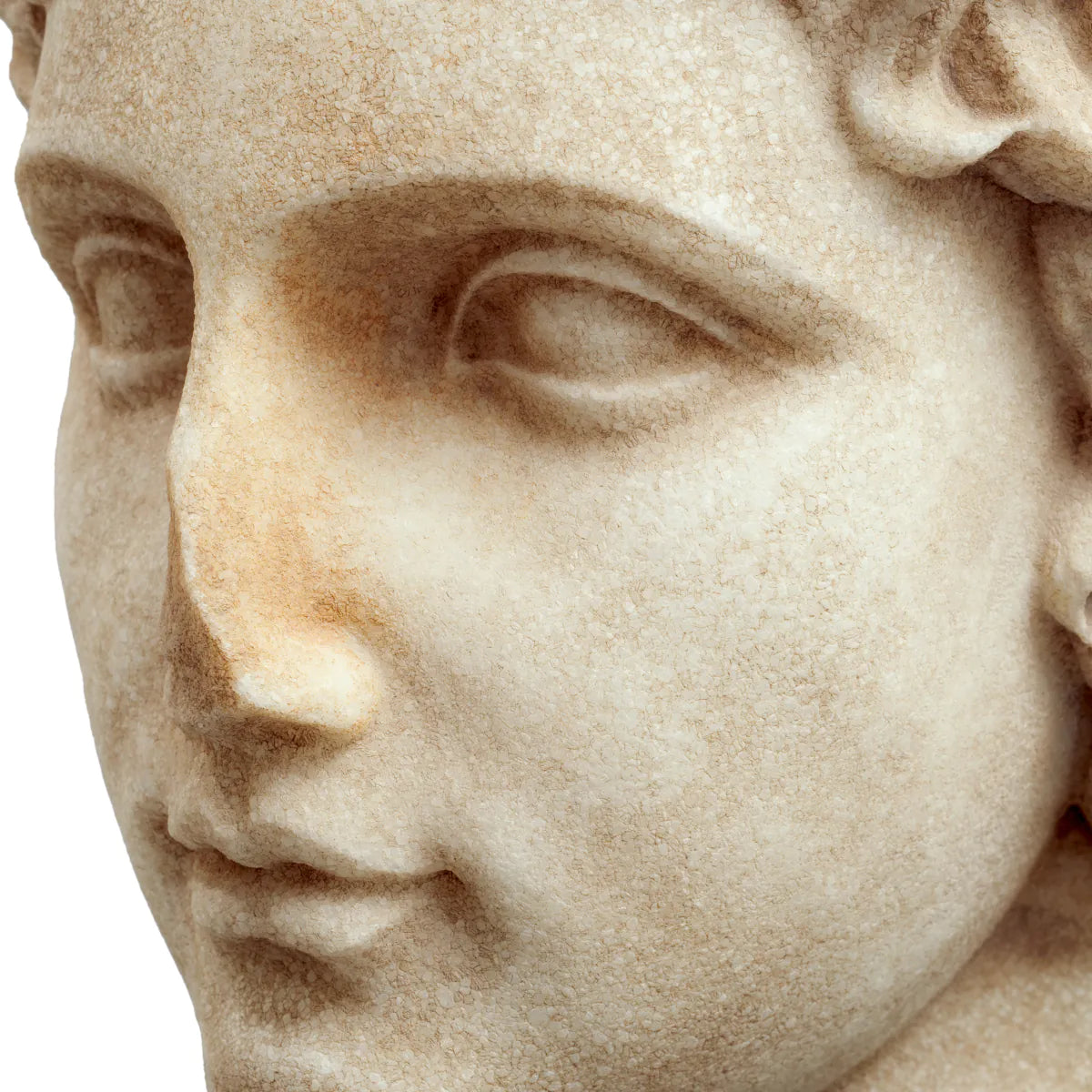 Roman Head Sculpture Bust of a Youth | Eichholtzmh.com