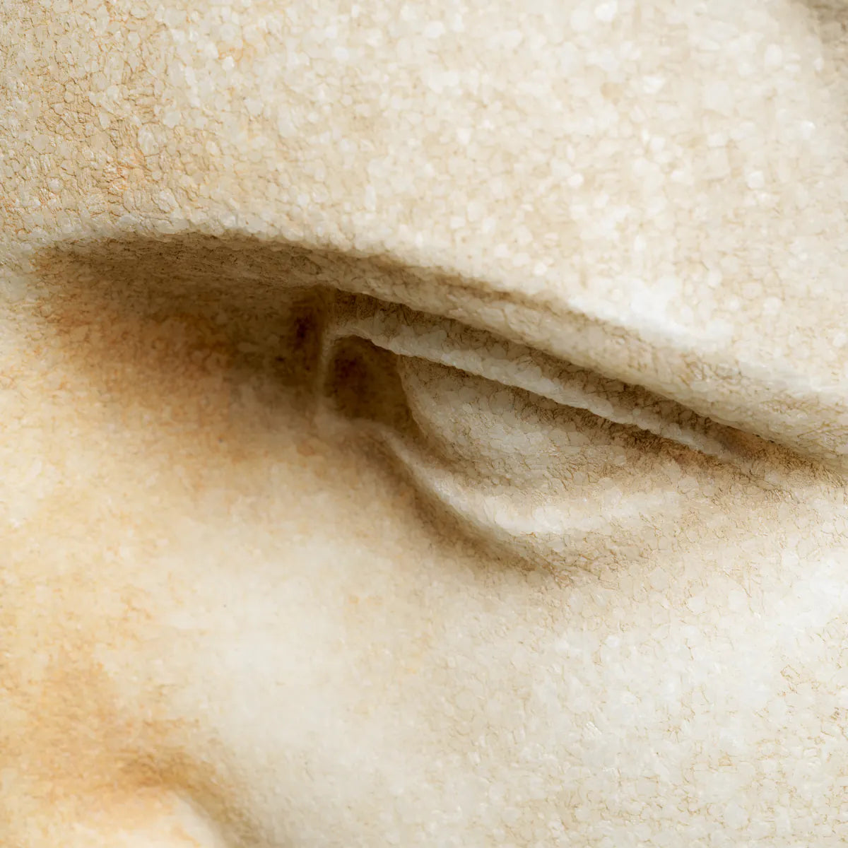 Roman Head Sculpture Bust of a Youth | Eichholtzmh.com