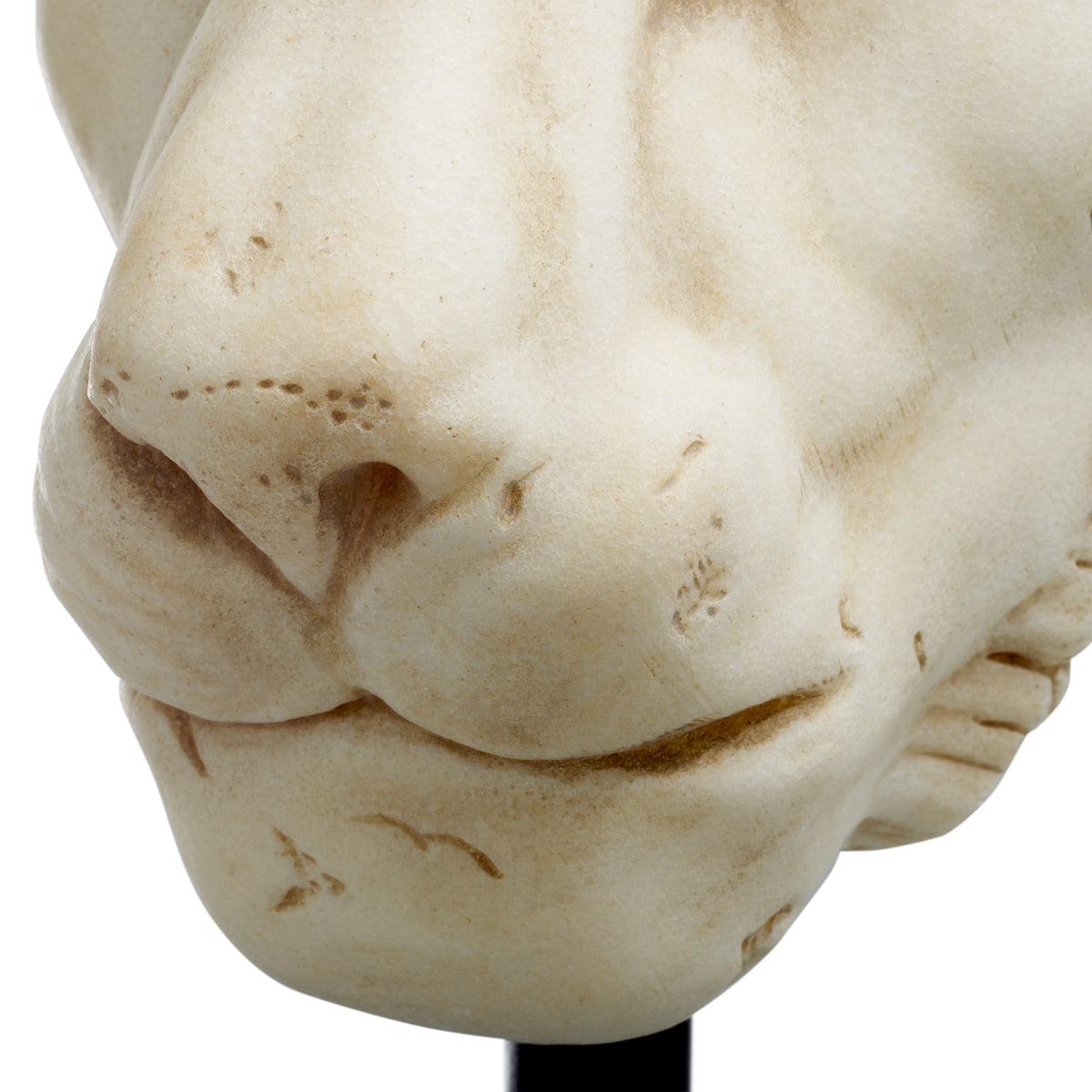 White Sandstone Lion Statue | Eichholtzmh.com